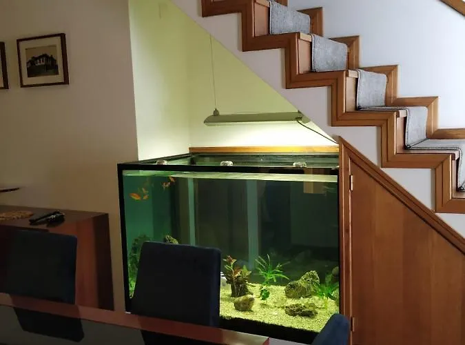 Marinho's - Vivenda Marinho *