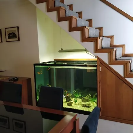 Marinho's - Vivenda Marinho *